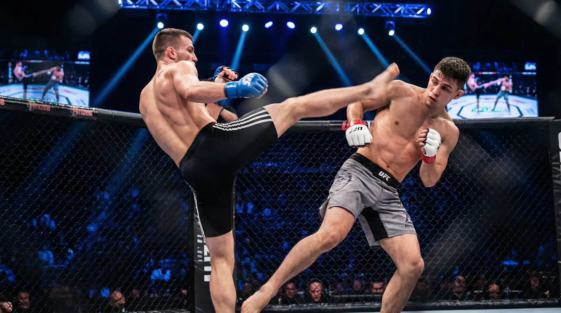 每日大赛mrds-赛事爆料|赛事聚集地|每日大赛mrds 羽量级选手闪电踢击精彩瞬间